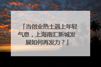当创业热土遇上年轻气息，上海南汇新城发展如何再发力？